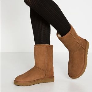 Ugg Classic Short Boots Chesnut